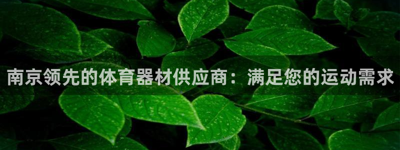 耀世集团小说：南京领先的体育器材供应商：满足您的运动