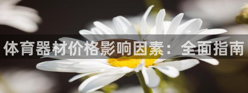 耀世娱乐官网网站登录：体育器材价格影响因素：全面指南