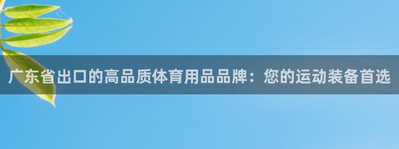 耀世平台代理多少钱一个：广东省出口的高品质体育用品品