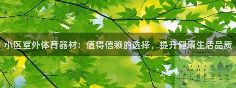 耀世娱乐是正规还是仿真：小区室外体育器材：值得信赖的