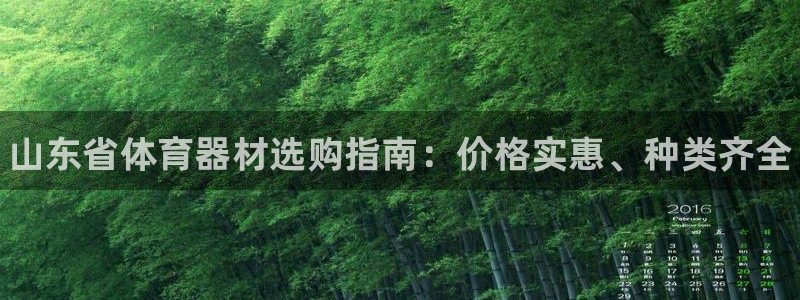 耀世娱乐下载链接安装:山东省体育器材选购指南:价格实惠、种类