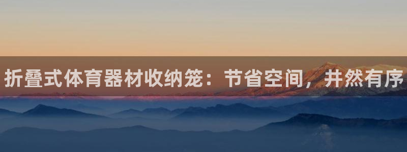 耀世传说:折叠式体育器材收纳笼:节省空间,井然有序